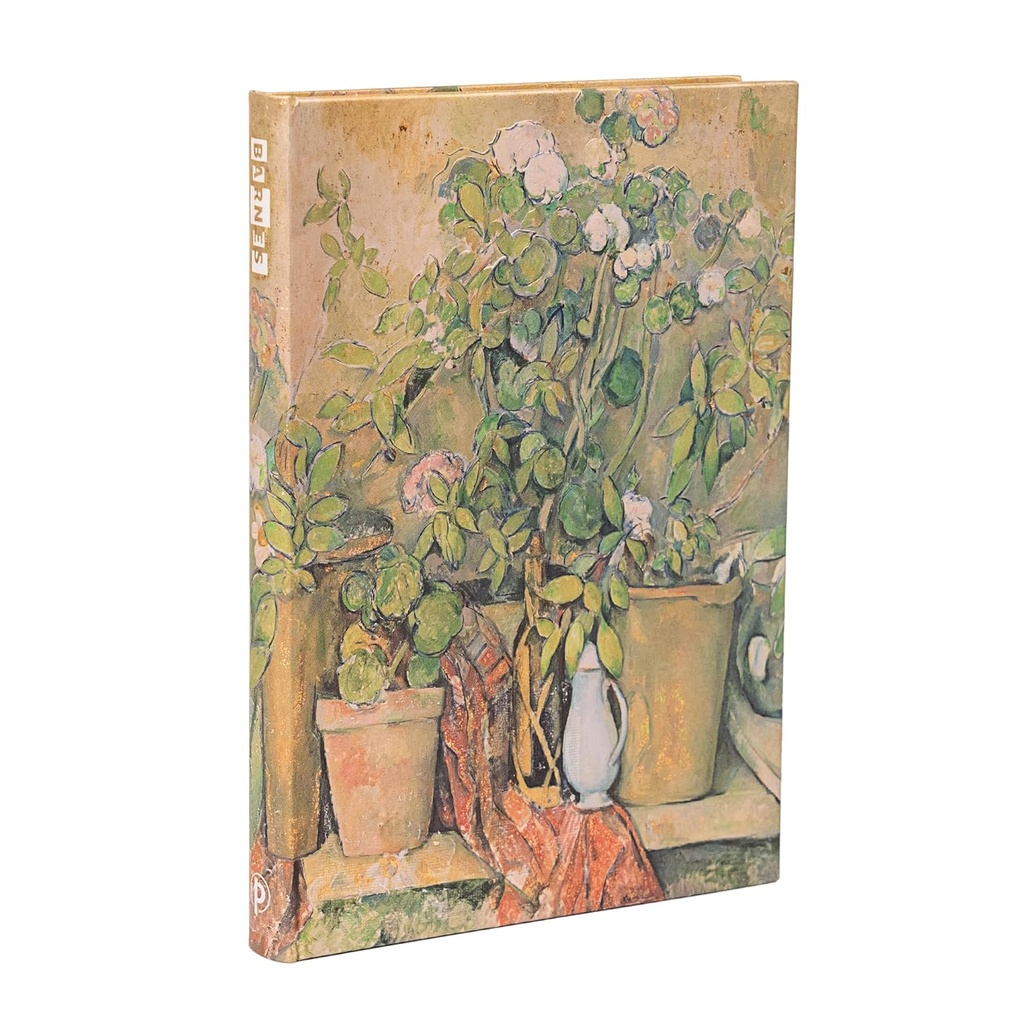 CEZANNE’S TERRACOTTA POTS AND FLOWERS. MIDI LISO TAPA DURA