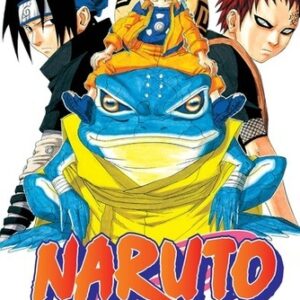 NARUTO 13