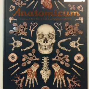 Anatonmicum