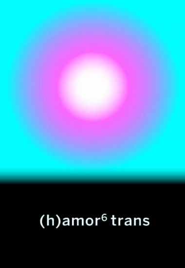 (H)AMOR 6 TRANS