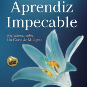 EL APRENDIZ IMPECABLE