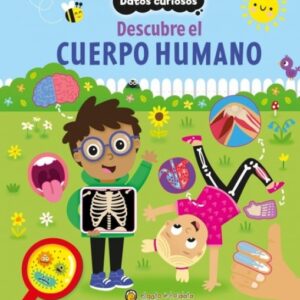 DATOS CURIOSOS-CUERPO HUMANO