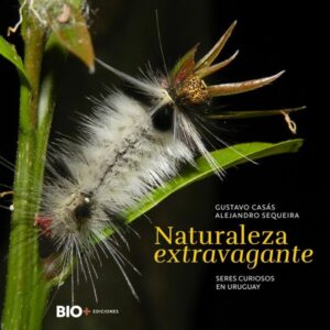 NATURALEZA EXTRAVAGANTE