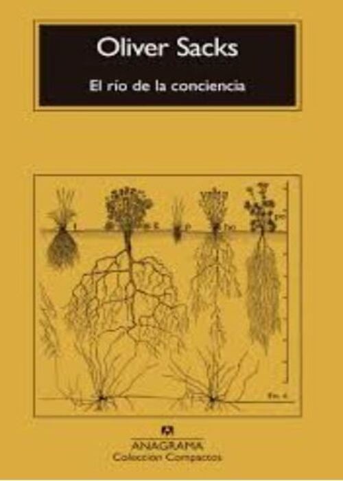 El río de la conciencia