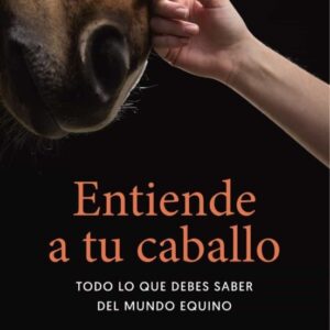 Entiende a tu cabello
