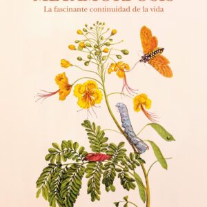 METAMORFOSIS