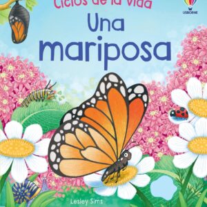 UNA MARIPOSA. CICLOS DE VIDA