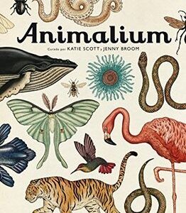ANIMALIUM