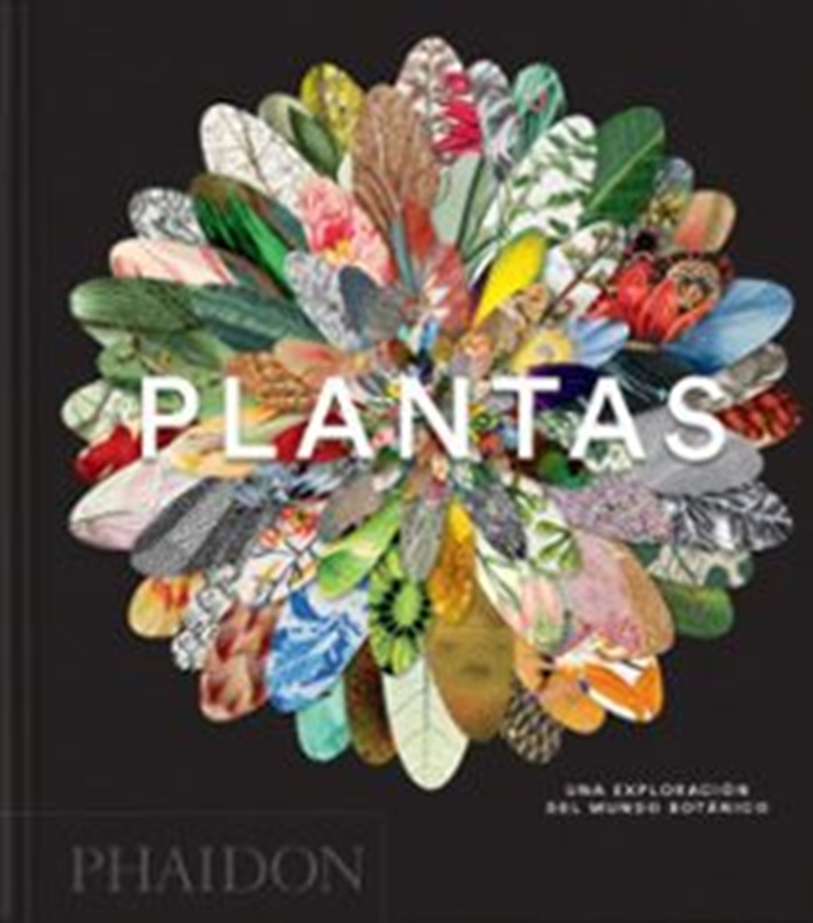 PLANTAS